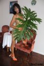 Escort Virginty in Pretoria North (Area) No:4